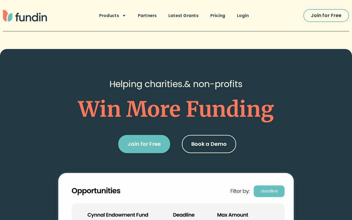 Fundin website preview