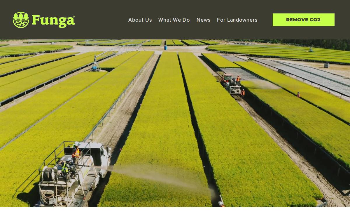 Funga website preview