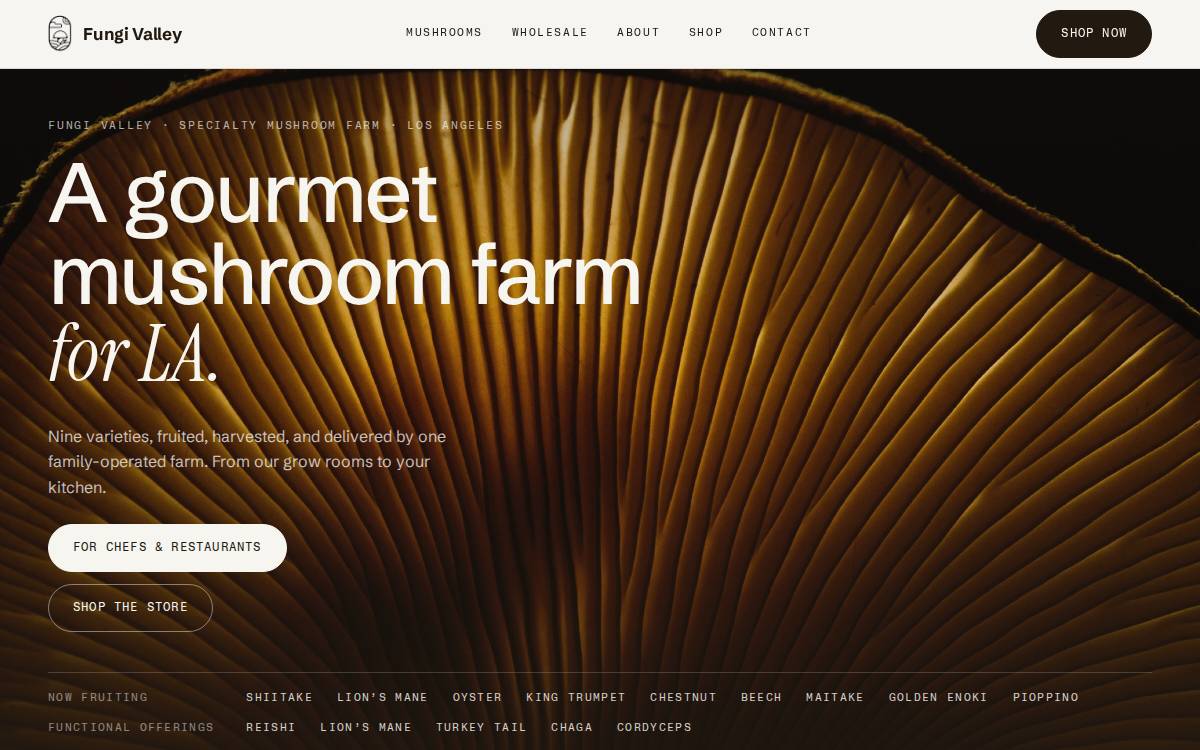 Fungi Valley website preview