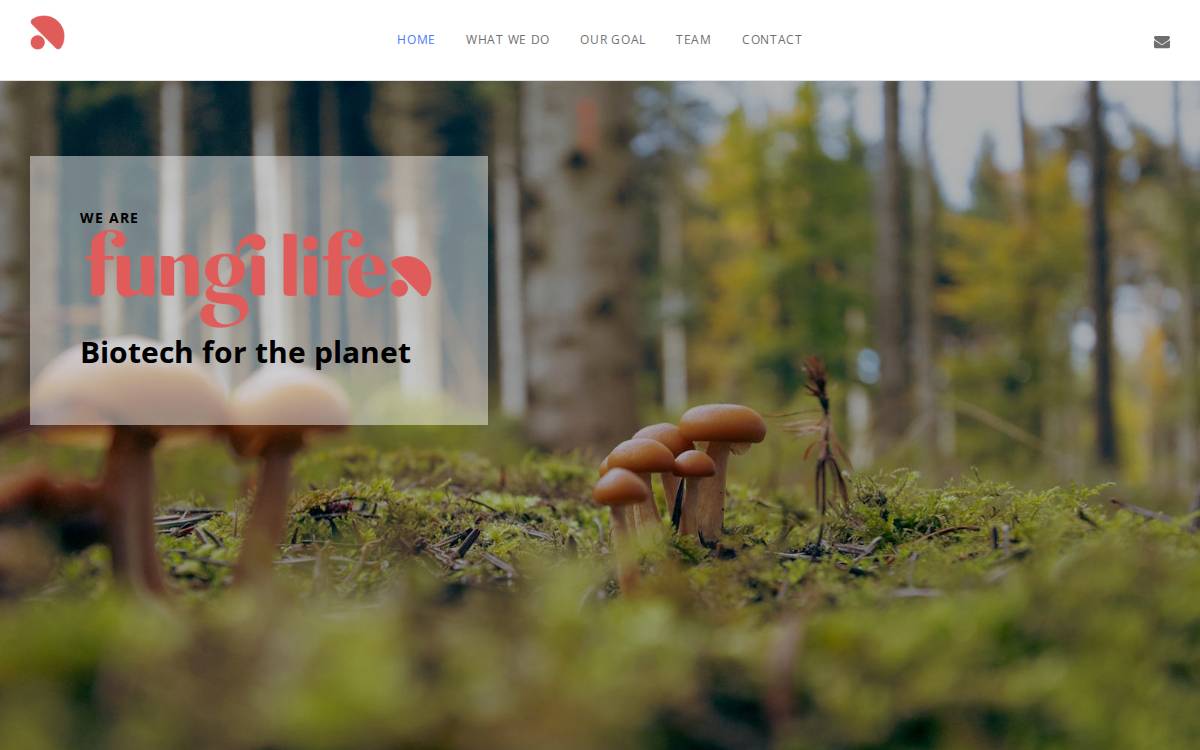 Fungilife website preview