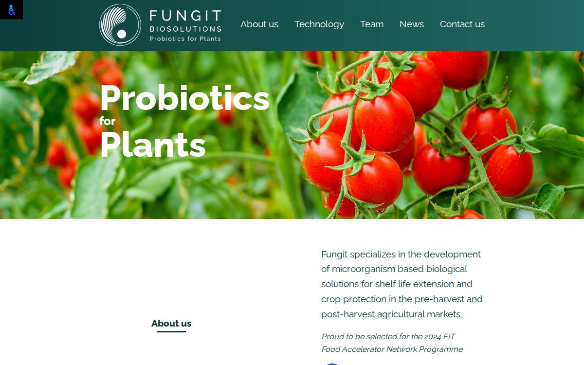 Fungit website preview