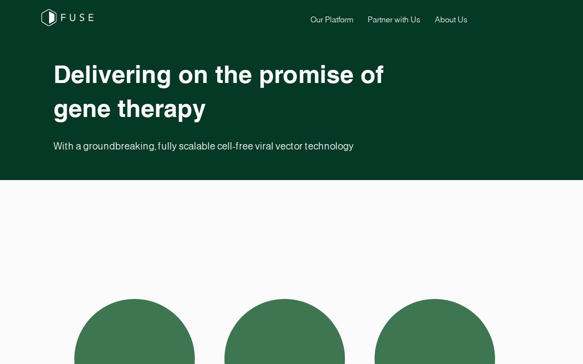 Fuse Vectors website preview