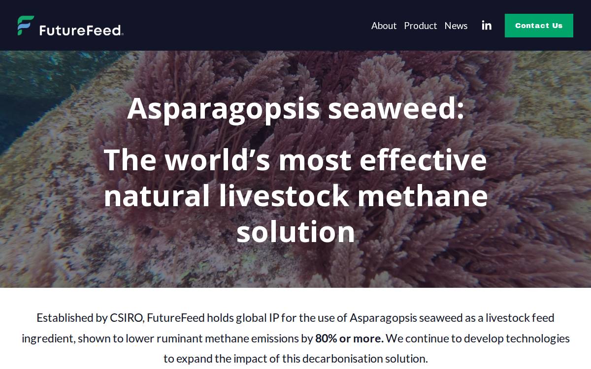 FutureFeed website preview