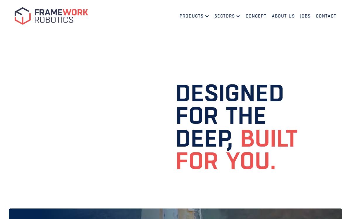 Fw Robotics website preview