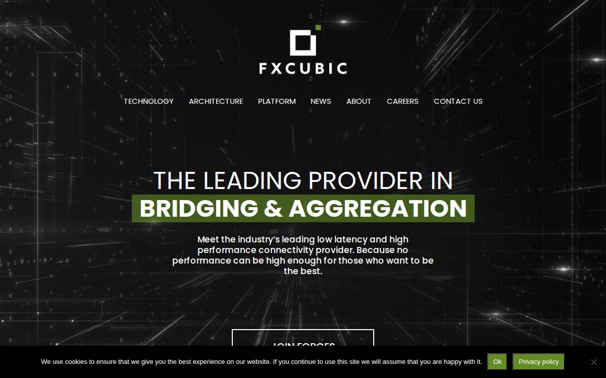 Fxcubic website preview