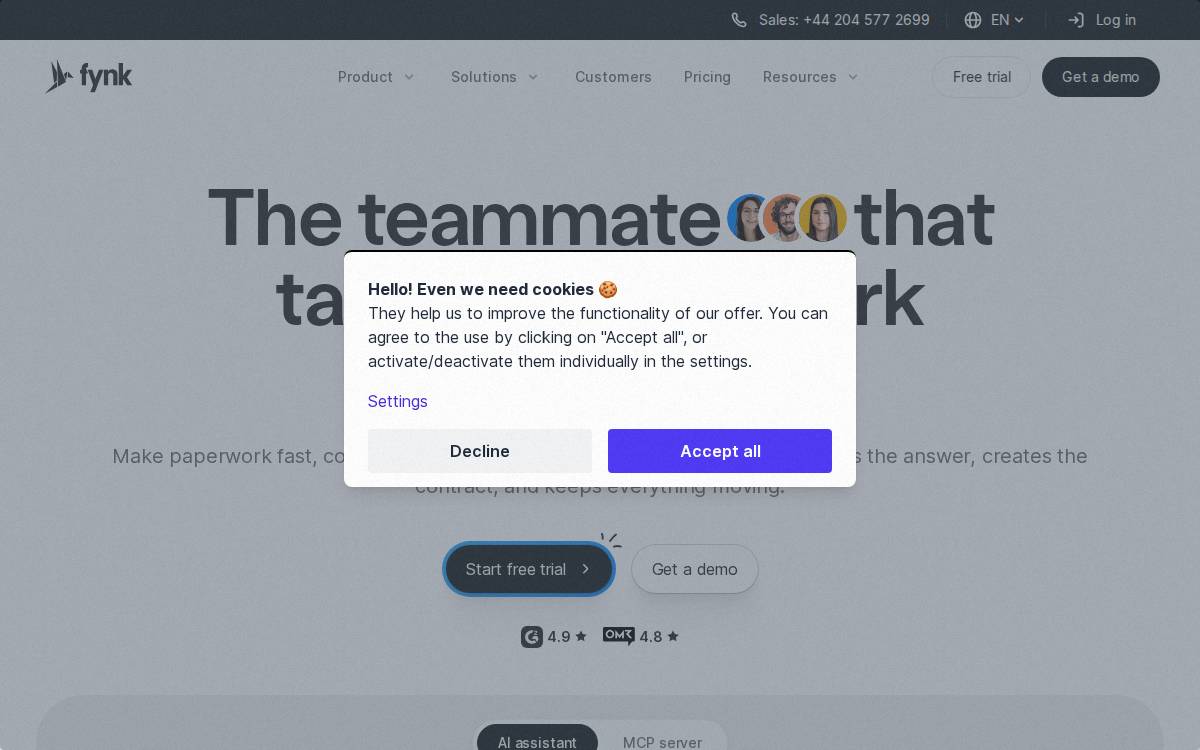 fynk website preview