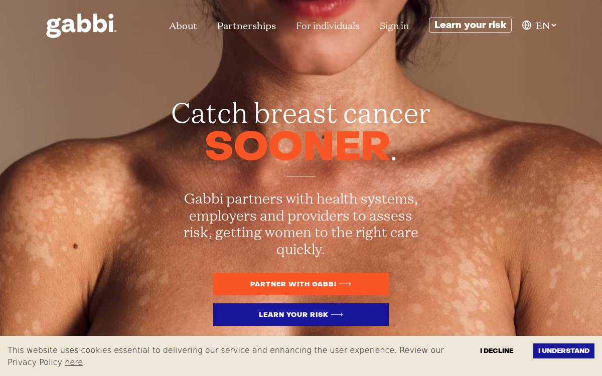 Gabbi website preview