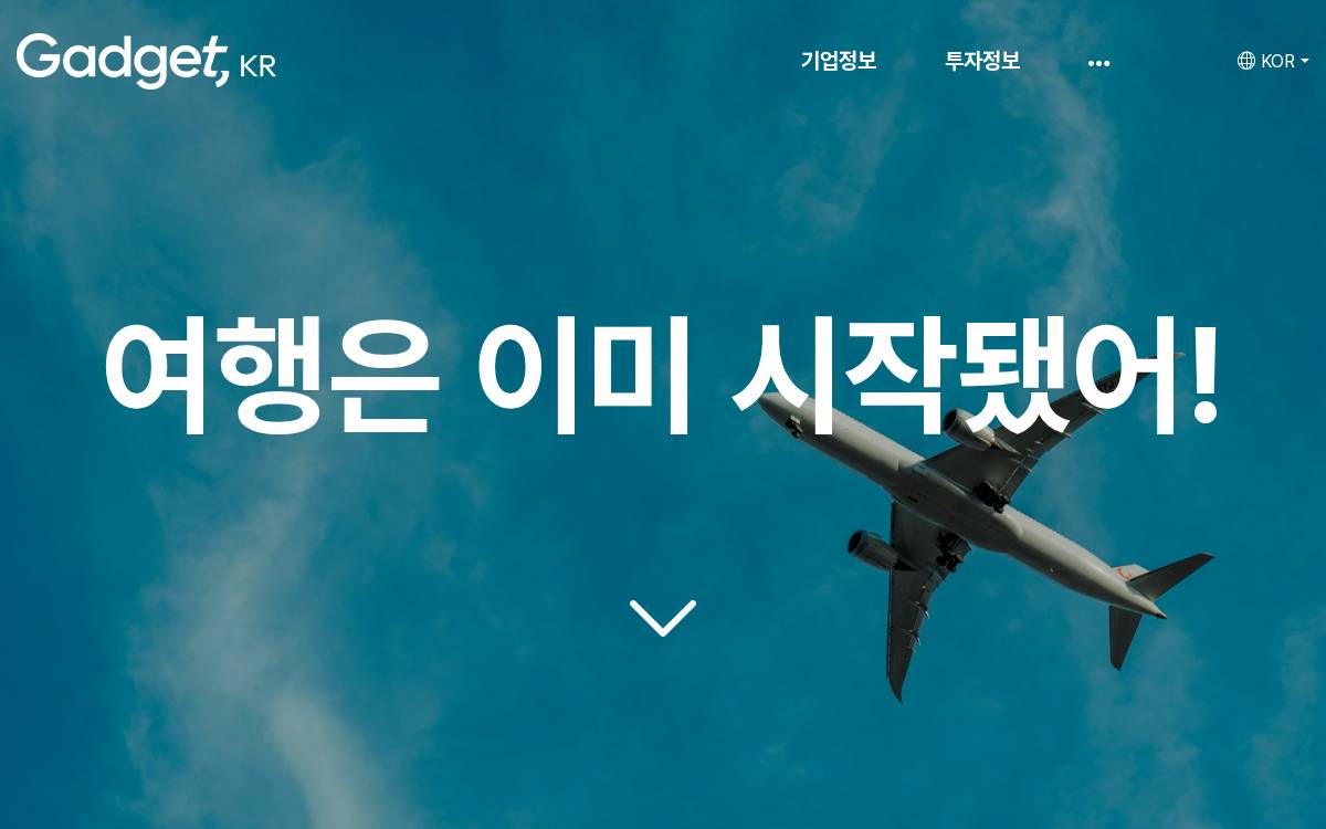 Gadget website preview