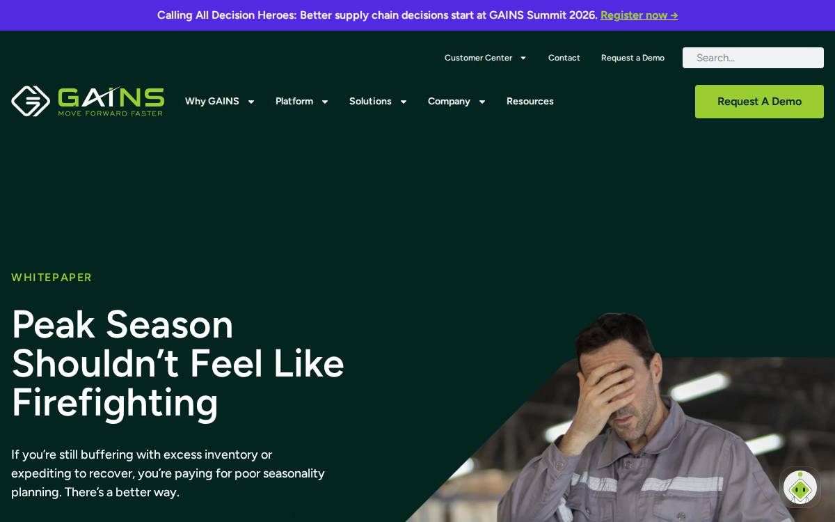 Gainsystems website preview