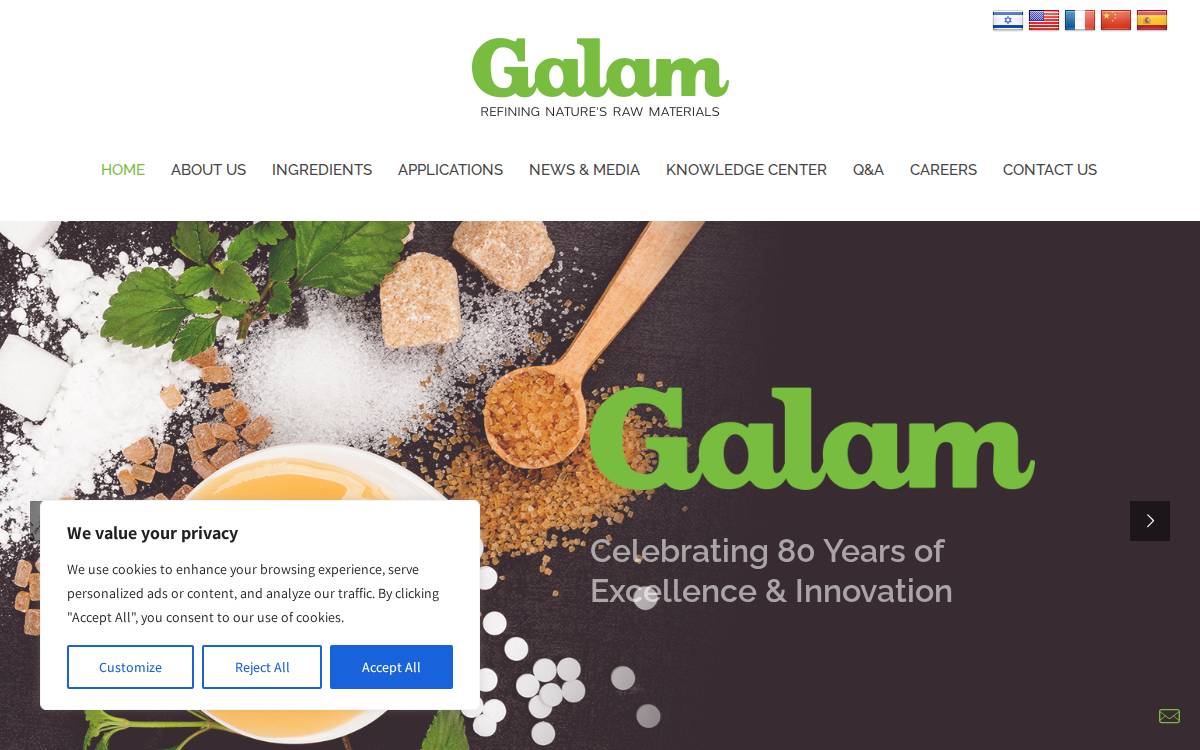 Galam website preview