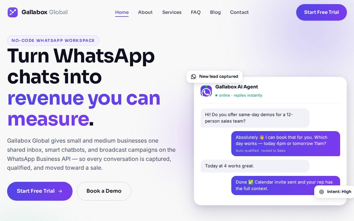 Gallabox Global website preview