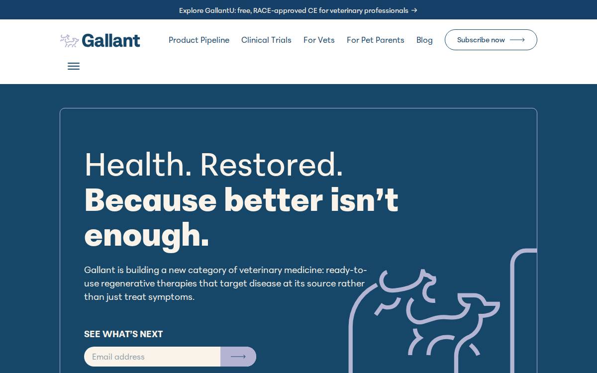 Gallant Pet website preview