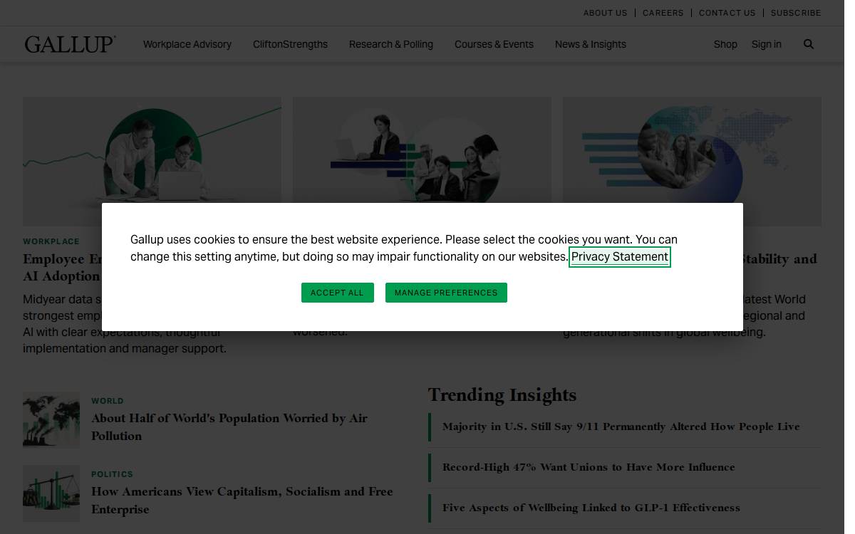 Gallup website preview