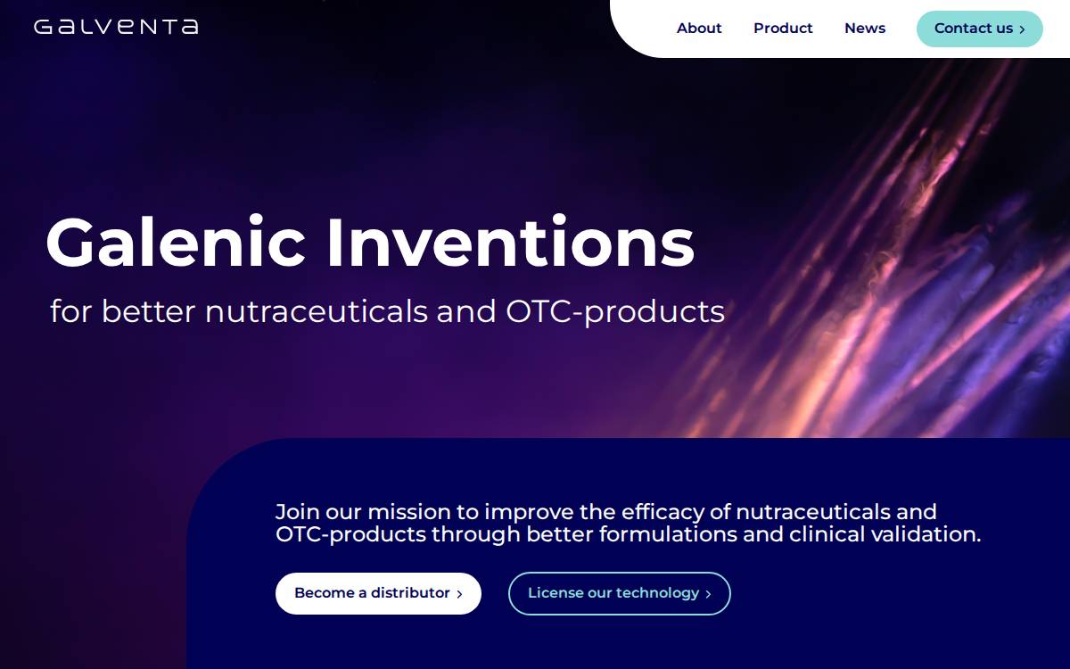 Galventa website preview