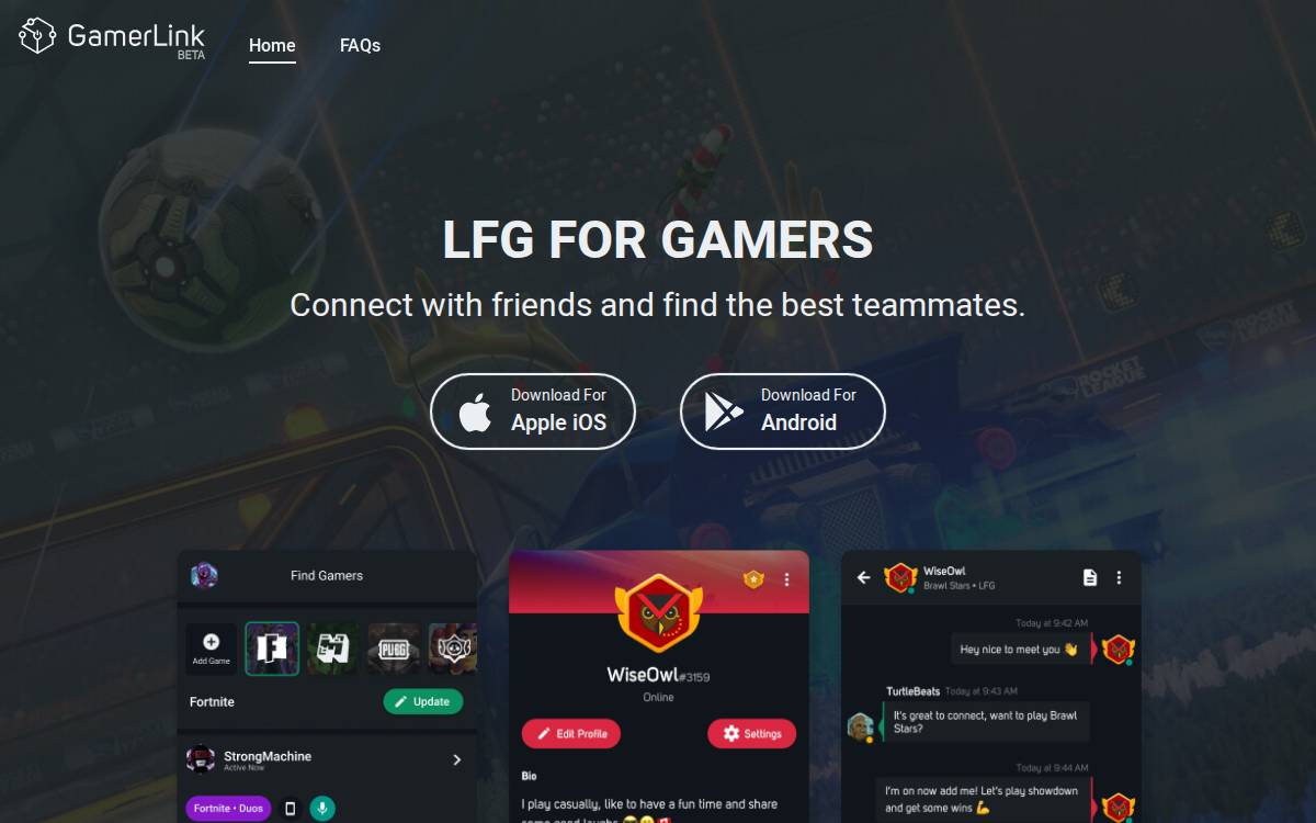 Gamerlink Inc. website preview