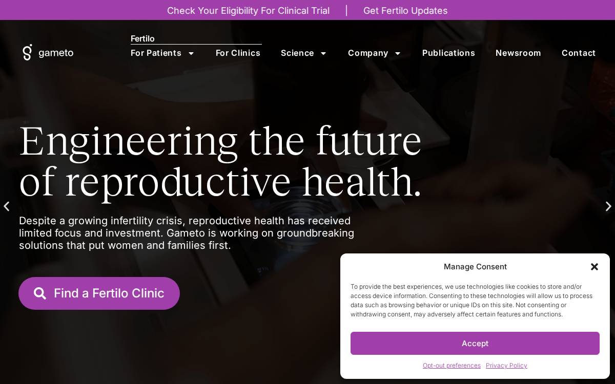 Gameto website preview