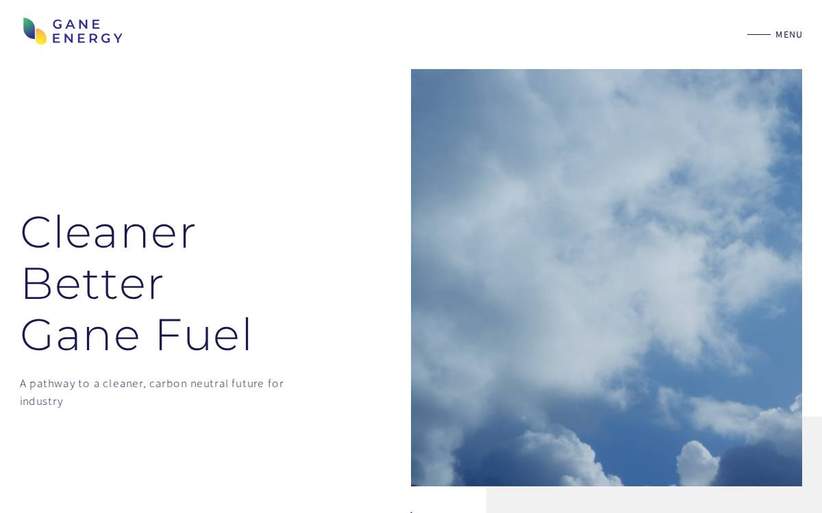 Gane Energy website preview