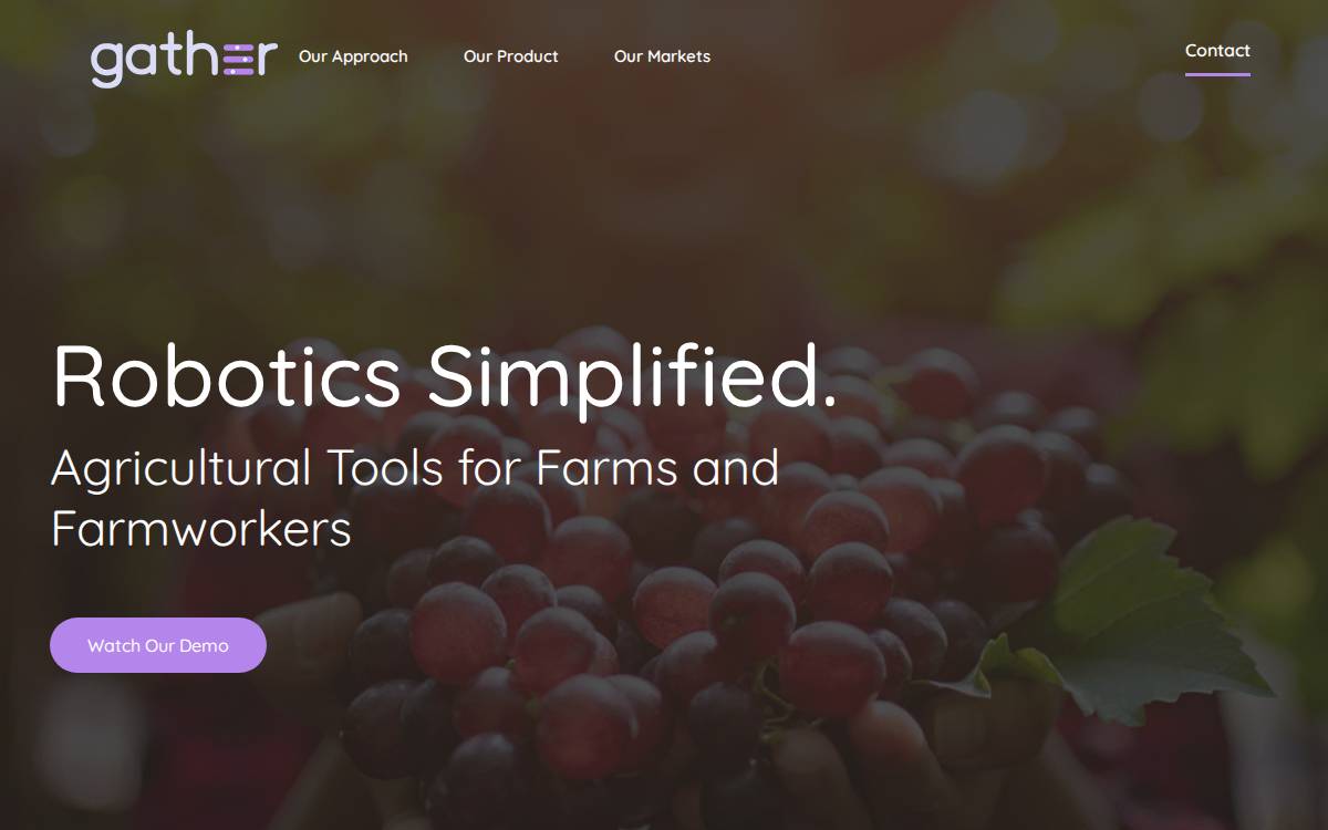 Gather website preview