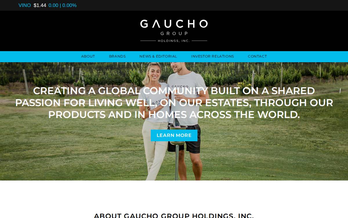 Gauchoholdings website preview