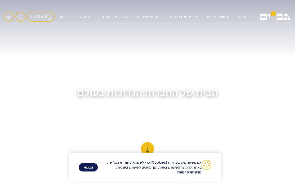 Gav Yam.Co website preview