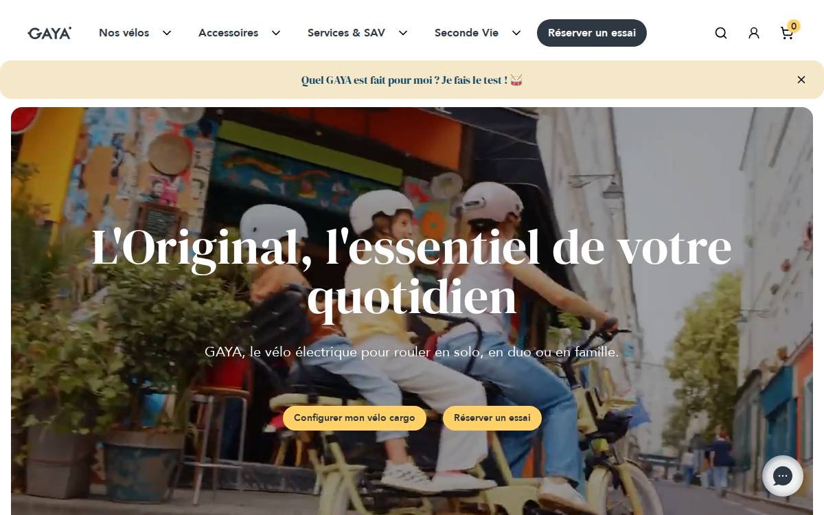 Gaya website preview