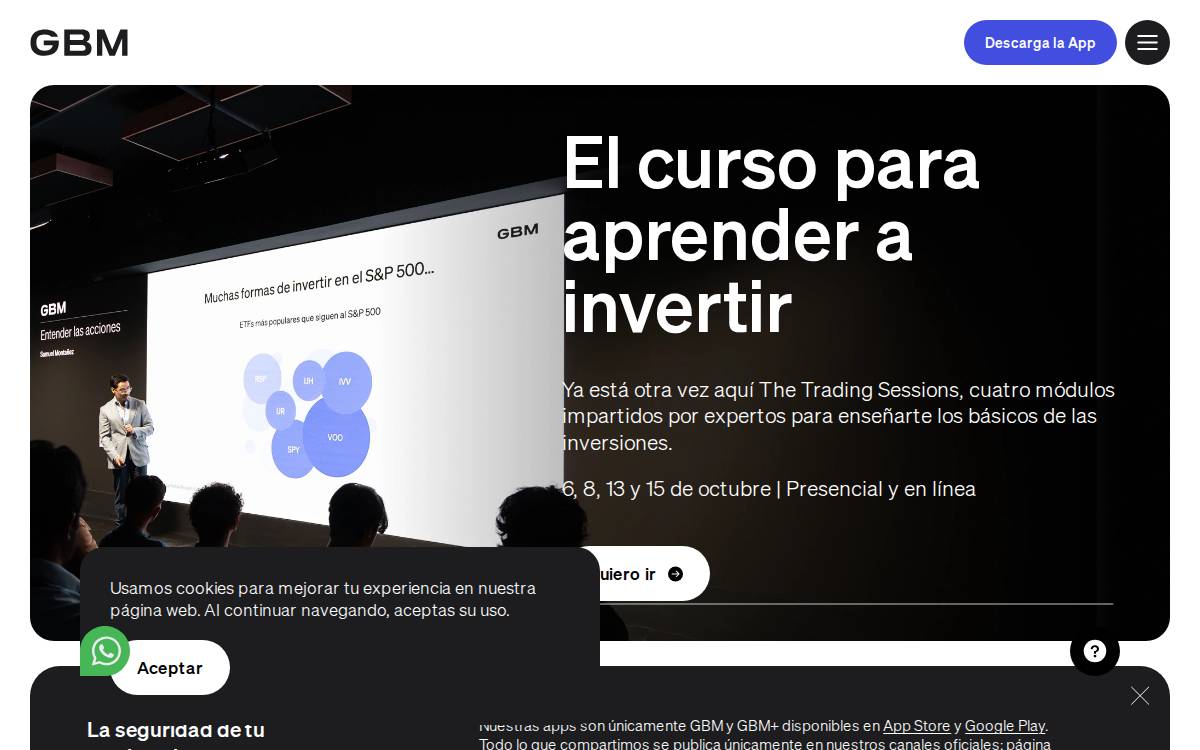 GBM website preview