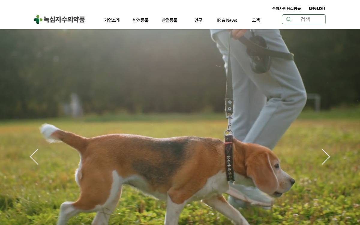 GCVP website preview
