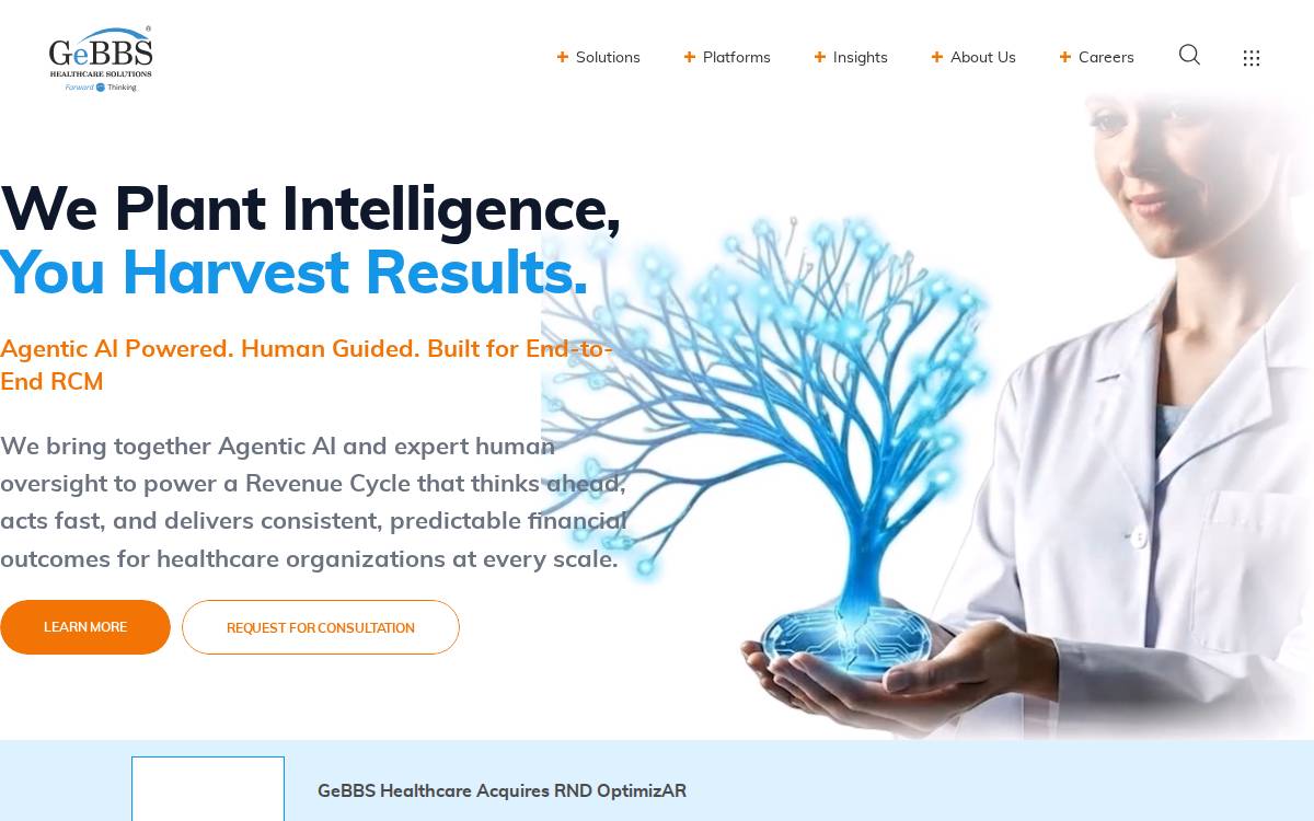 GeBBS Healthcare Solutions website preview