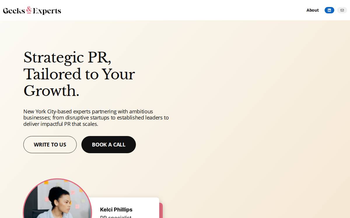 Geeks and Experts website preview