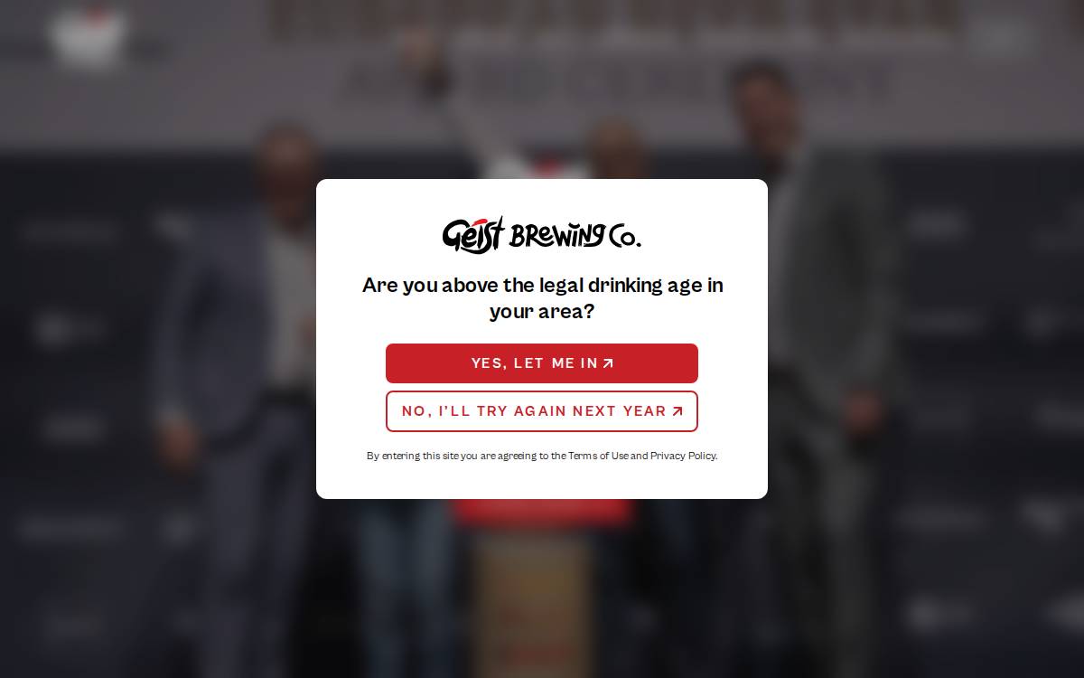 Geist website preview