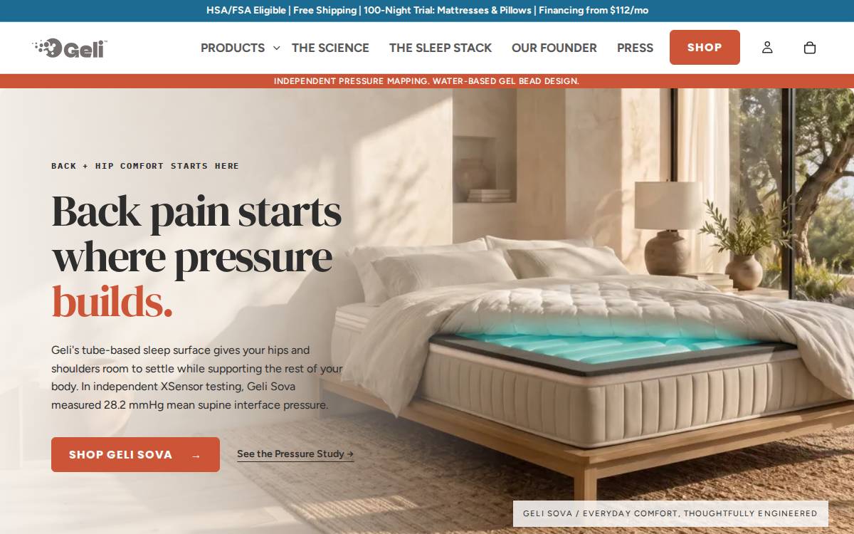 Geli website preview