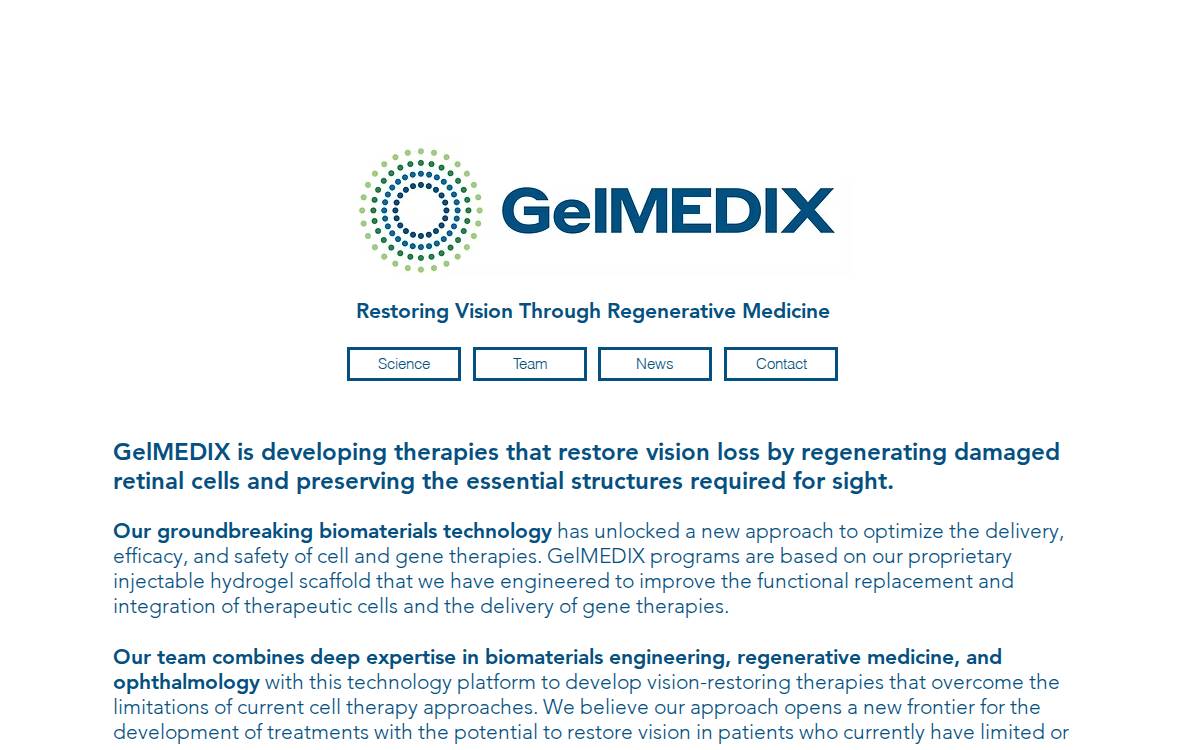 GelMEDIX website preview