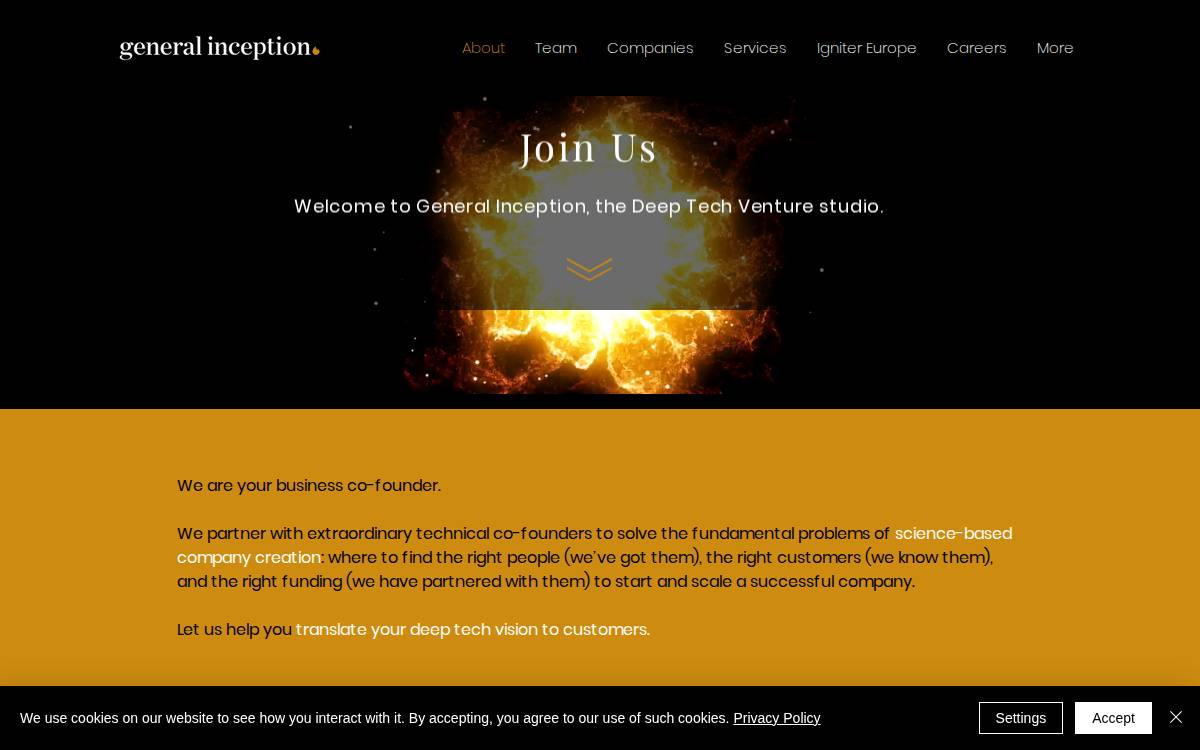 General Inception website preview