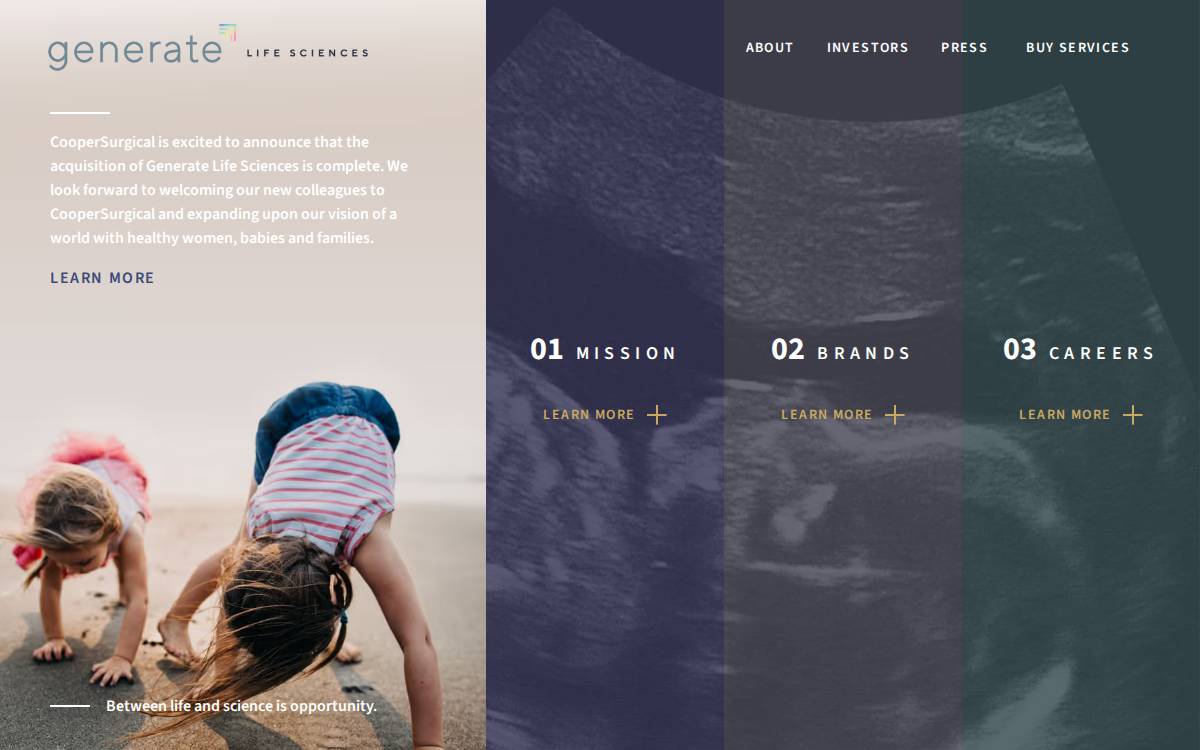 Generate website preview