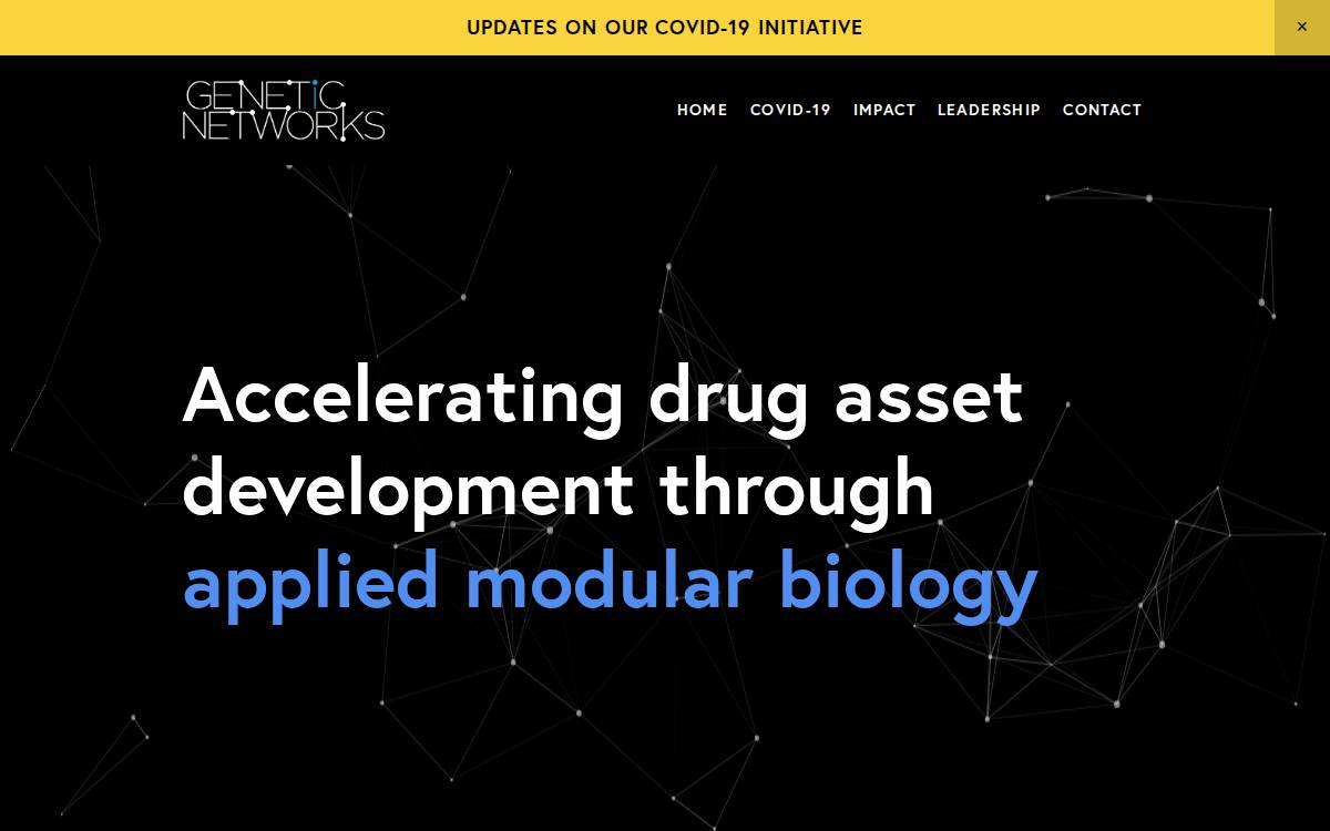 geneticnetworks website preview