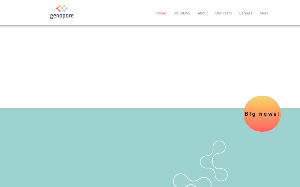 Genopore website preview