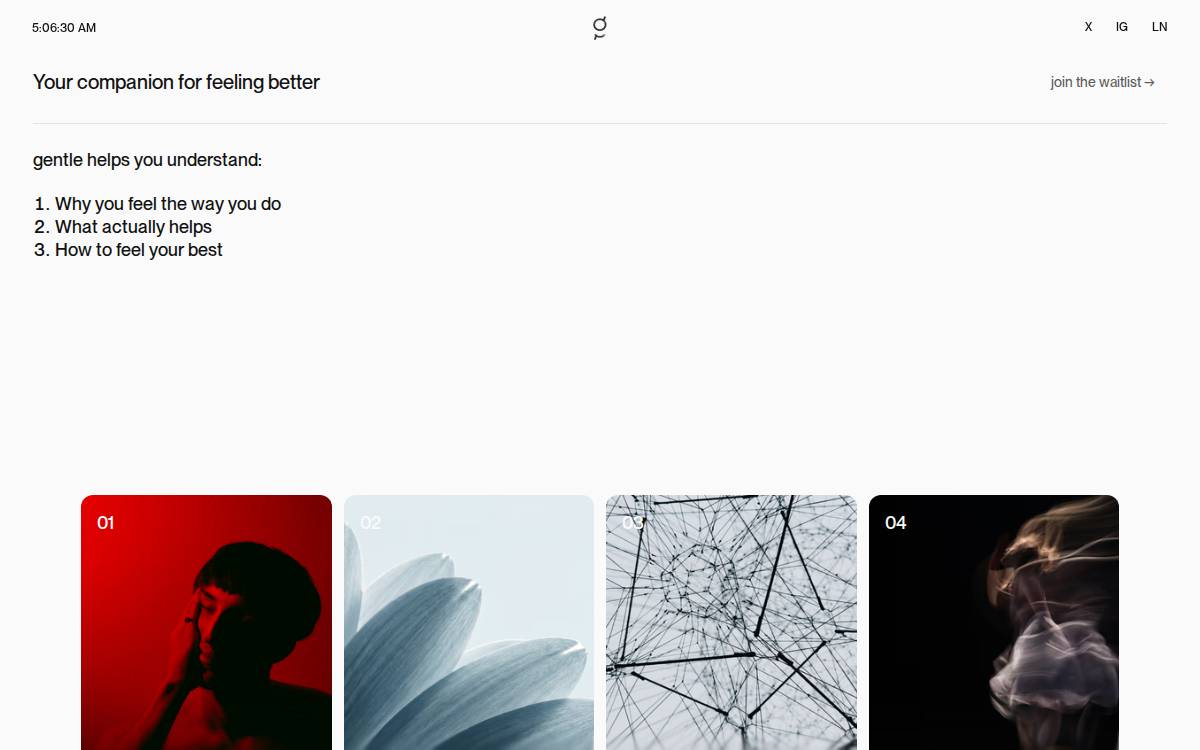 Gentle Neuro website preview