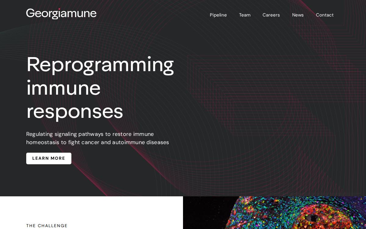 Georgiamune website preview