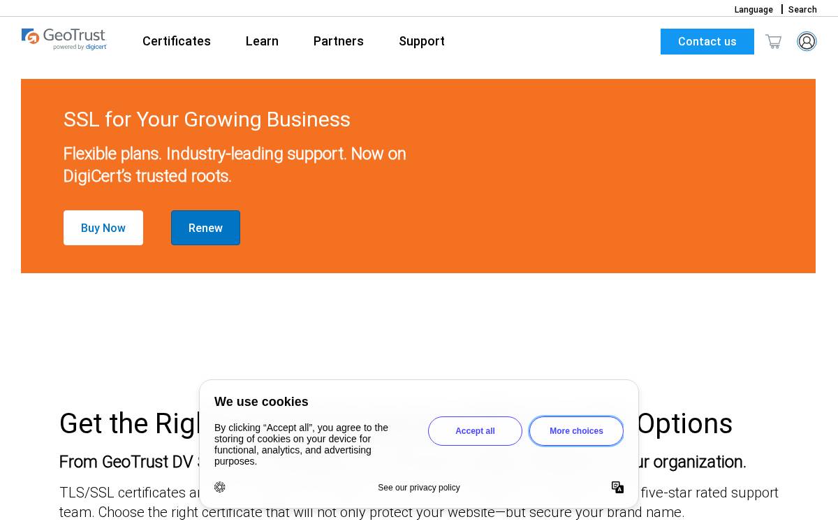 GeoTrust website preview