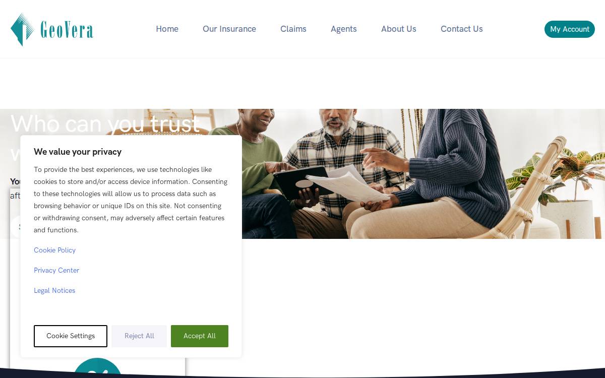 GeoVera website preview