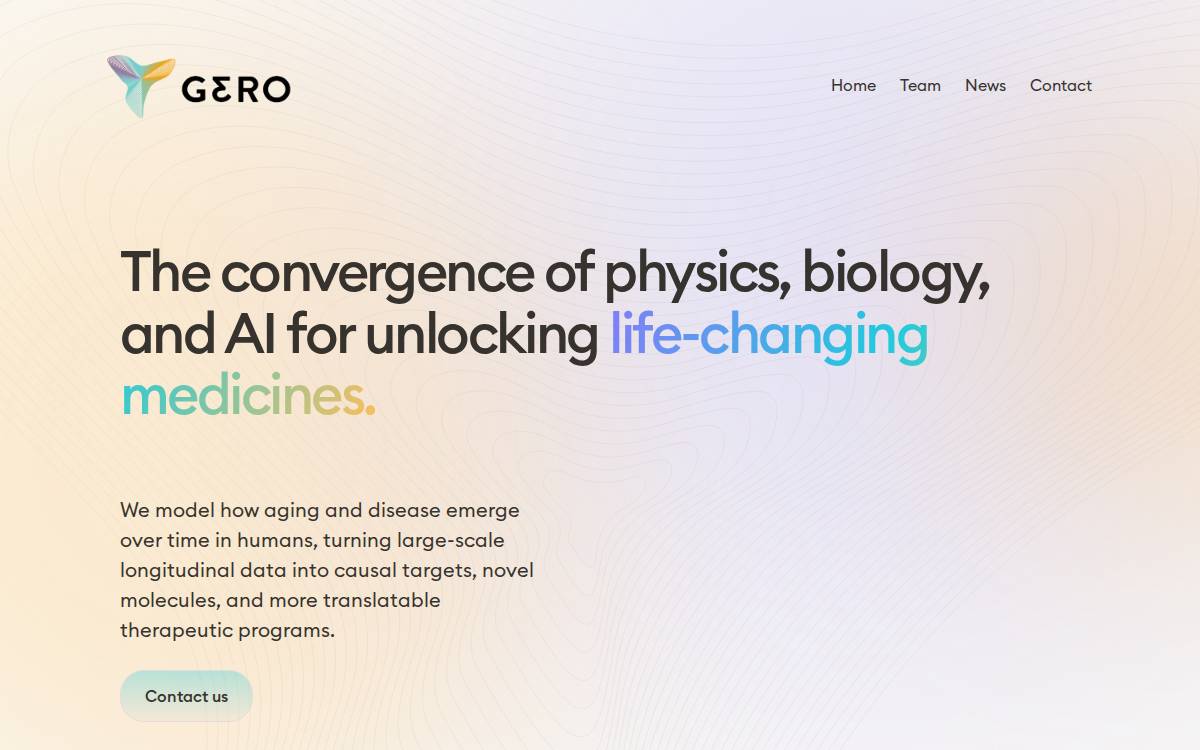 Gero website preview