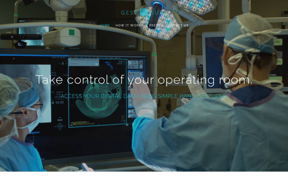 GestSure website preview