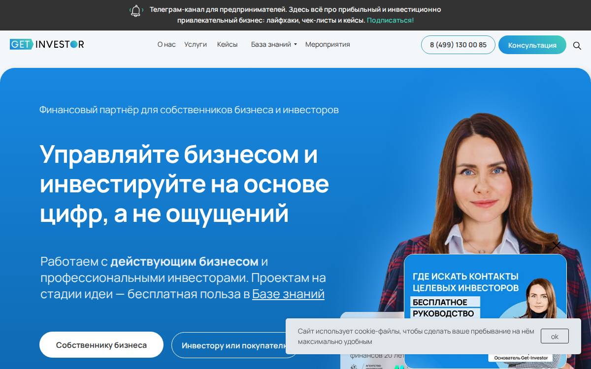 Get-Investor website preview
