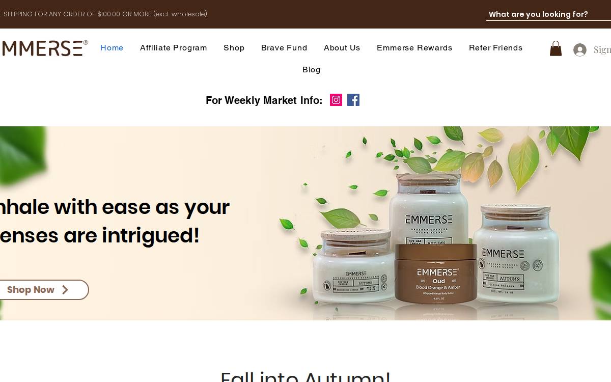 Getemmersed website preview