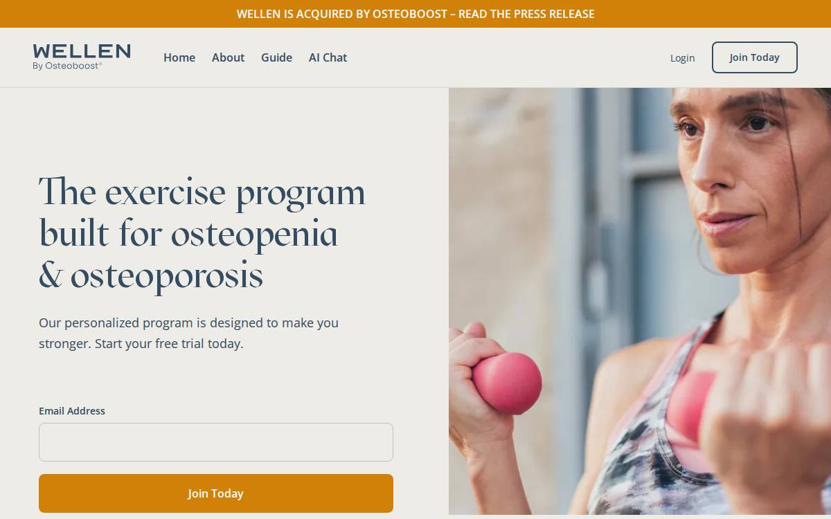 Getwellen website preview