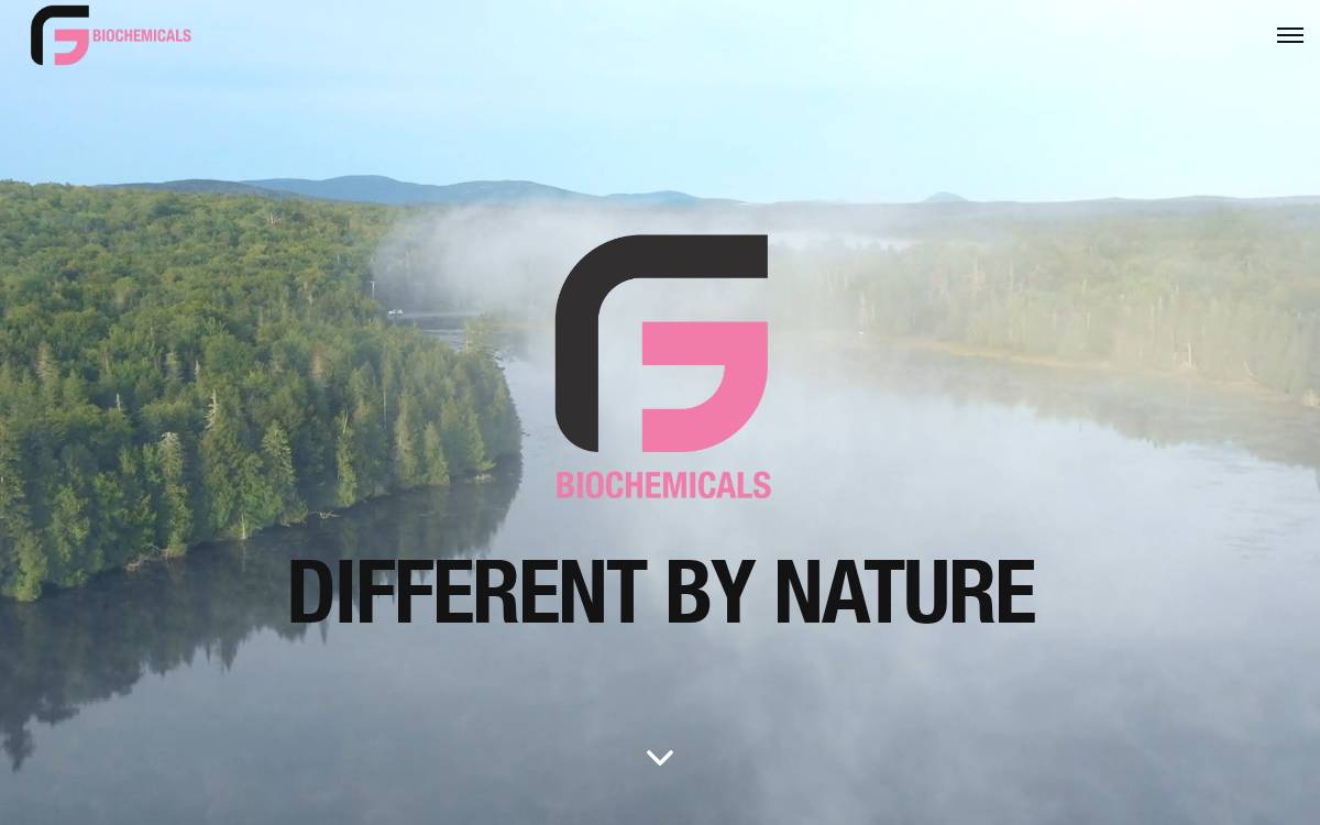 Gfbiochemicals website preview