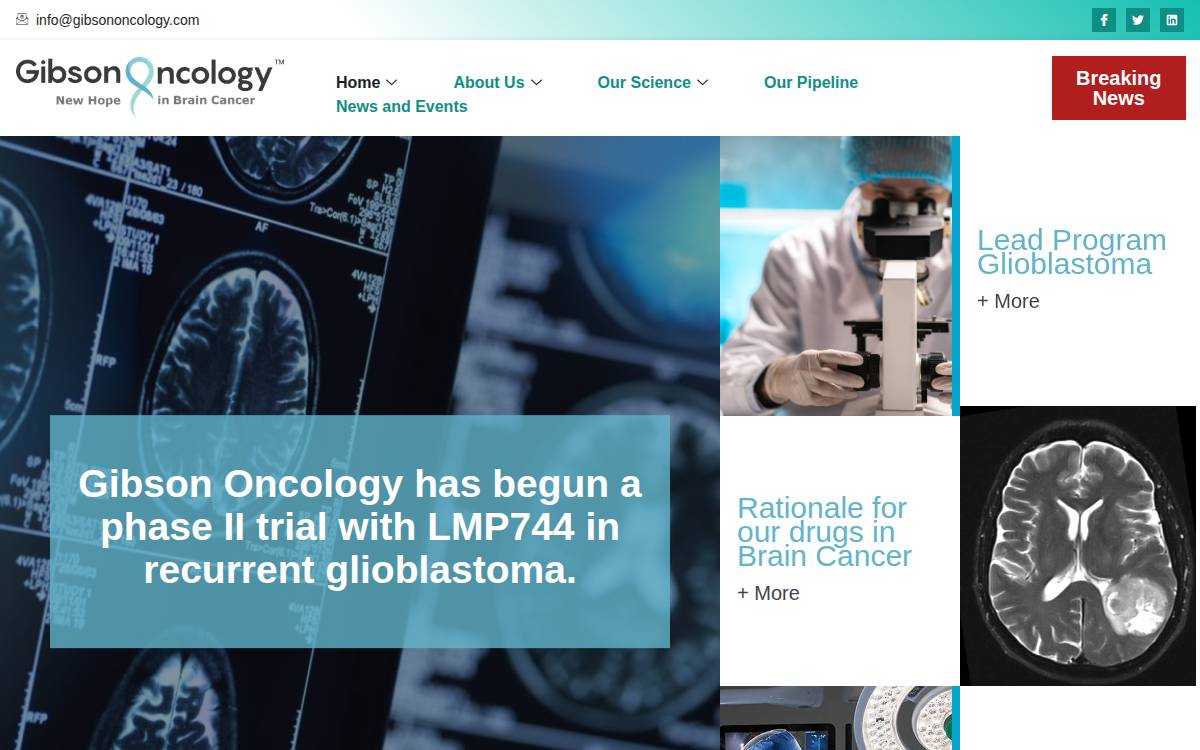 Gibson Oncology website preview