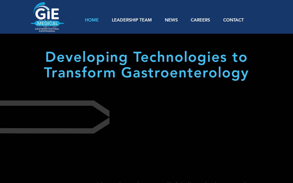 GIE Medical website preview