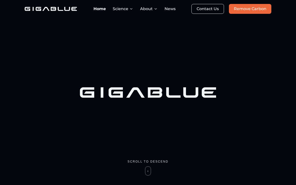 Gigablue website preview
