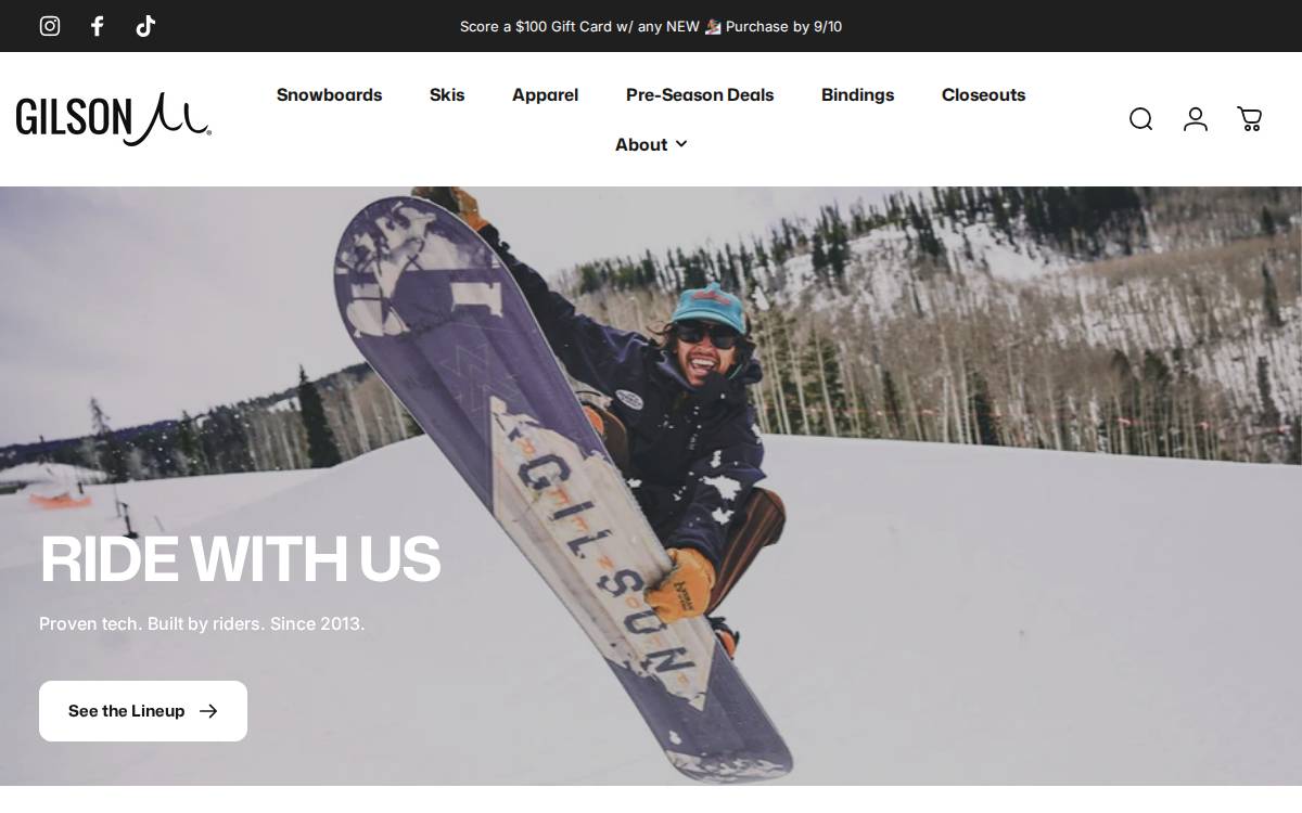 Gilsonsnow website preview